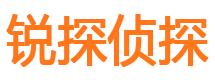 武陟市侦探调查公司